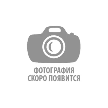 21 роза а оформлении гигант  от интернет-магазина цветов в 